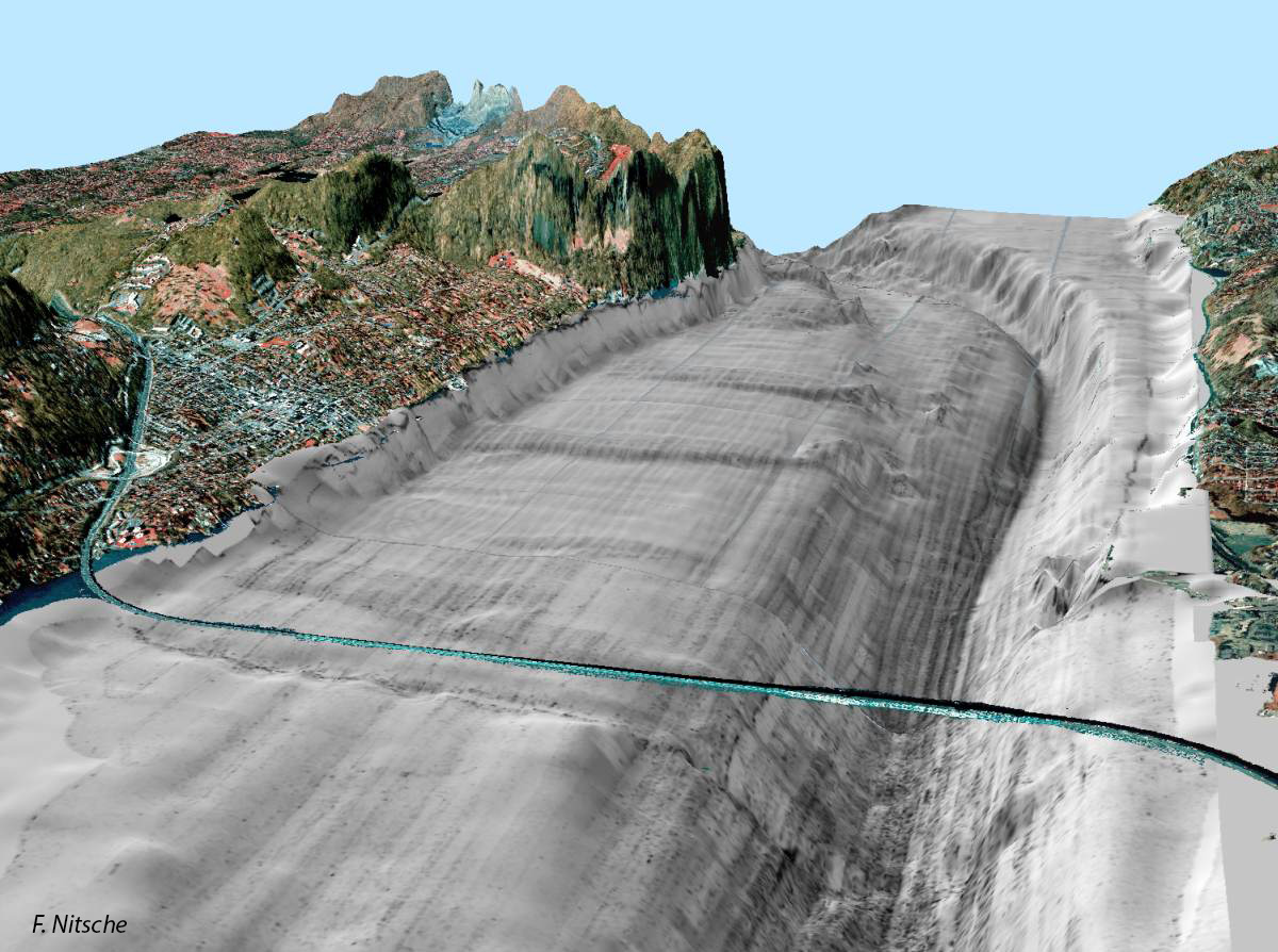 Tappan Zea 3D