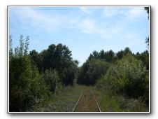 DSCN9061