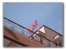 DSCN7553