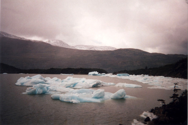 bergs