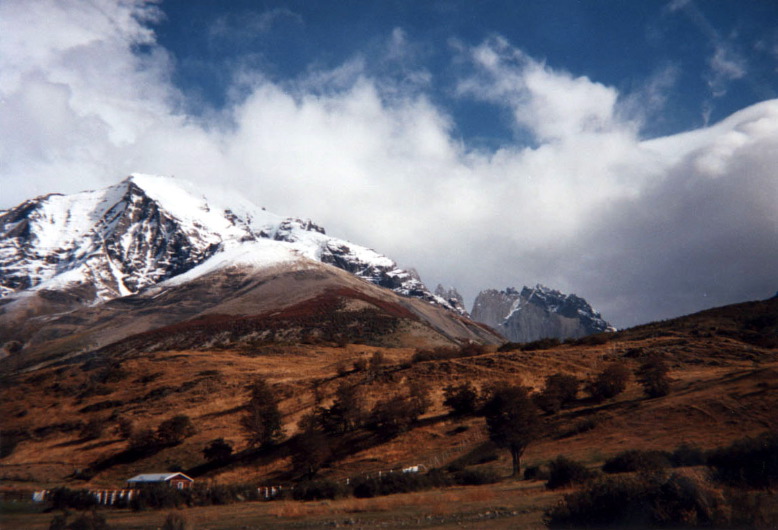 torres-and-maison