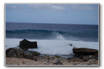 DSC_1859