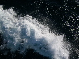 DSCN0407.jpg