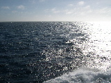 DSCN0414.jpg