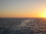 DSCN0446.jpg