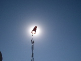 DSCN0482.jpg