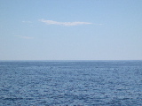 DSCN0492.jpg