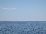 DSCN0494.jpg
