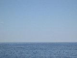 DSCN0495.jpg