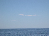 DSCN0497.jpg