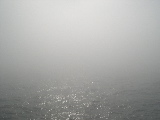 DSCN0232.jpg