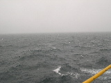 DSCN0233.jpg