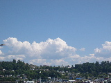 DSCN0530.jpg