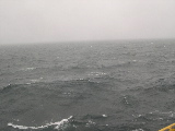 DSCN0235.jpg