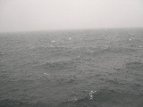 DSCN0236.jpg