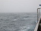 DSCN0238.jpg