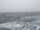 DSCN0239.jpg