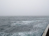 DSCN0240.jpg