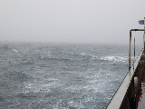 DSCN0242.jpg