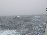 DSCN0243.jpg