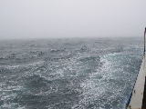 DSCN0246.jpg