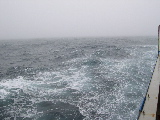 DSCN0247.jpg