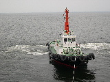 DSCN0219.jpg