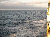 DSCN0288.jpg
