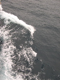 DSCN0302.jpg