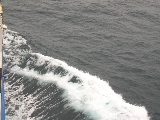DSCN0303.jpg
