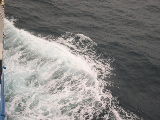 DSCN0304.jpg