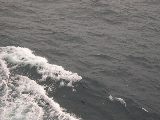 DSCN0305.jpg