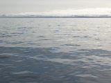 DSCN0307_1.jpg