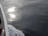 DSCN0318.jpg