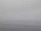 DSCN0320.jpg