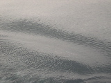 DSCN0321.jpg