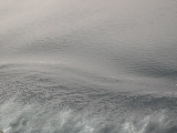 DSCN0323.jpg
