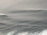 DSCN0324.jpg