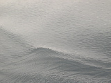 DSCN0325.jpg