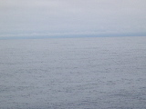 DSCN0329.jpg