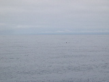 DSCN0331.jpg