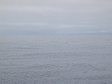 DSCN0332.jpg