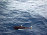 DSCN0337.jpg