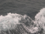 DSCN0340.jpg