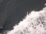 DSCN0343.jpg