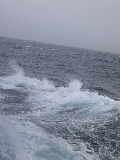 DSCN0349.jpg