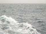 DSCN0355.jpg