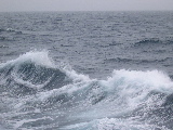 DSCN0357.jpg