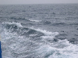 DSCN0359.jpg