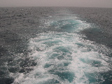 DSCN0365.jpg
